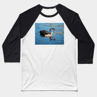 Black Swan and Cygnet Baseball T-Shirt